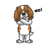 Sturer Cavalier King Charles Spaniel