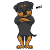 Rottweiler Dog