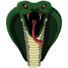 Snake Snake Portrait