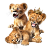 3 leoni, bambini leone, cuccioli di leone