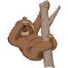 Funny sloth Facepalm