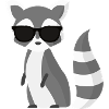 cool raccoon