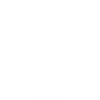 Skull - abstrakte Kunst