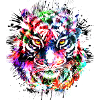 Bunter Tiger - Wildkatze - Raubtier - Tigerkopf