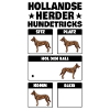 Hollandse Herder Tricks Holländischer Schäferhund