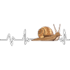 Snails Snail Heartbeat