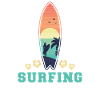 Surfing Surfer Surfer