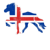 Isi Island Horse Pony islandske heste siger gave