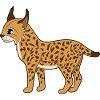 Luchs