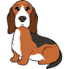 Basset Hound