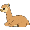 Alpaca
