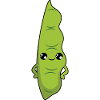 Haricots verts