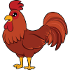 Rooster