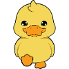Duck Ducks