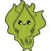 Rucola