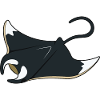 manta ray