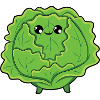 Cabbage