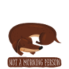 Dachshund sleep shirt pajamas