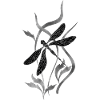 Libellule