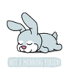 sleep shirt pajamas pajamas