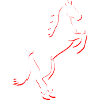 Cheval Horse Reiter