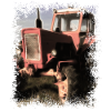Tractor Belarus MTS 50