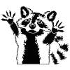 Black White Raccoon Motif