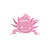 Axolotl