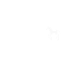 Cheval chevaux