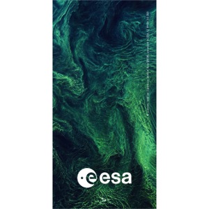 Earth from Space - Baltic blooms