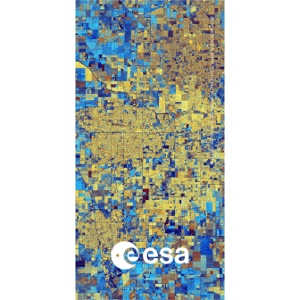 Earth from Space - Lake Success, California