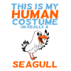 La mouette