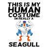gull
