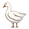 Goose Breeder