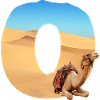 désert avec kamel o