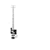 Bassgiste bassiste