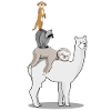 Bremen Alpaca Sloth Raccoon Bremen