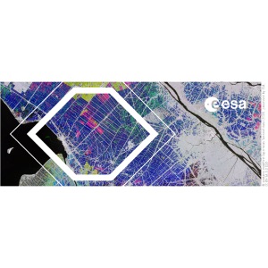 Earth from Space - Rice fields, Vietnam