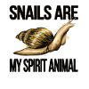 Snail lover gift Snail Gastropoda