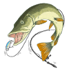 Pike Wobbler Fishing