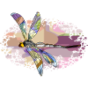 Libellule