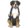 Entlebucher Sennenhund Hund