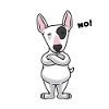 Stuer Miniature Bullterrier chien