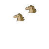 double poney