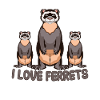 I love ferrets