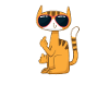 Katze Mietzekatze Hauskatze