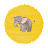 Cute elephant