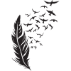 Federflug Silhouette mit Vogelzug