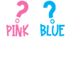 Gender Reveal Party