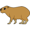 capybara